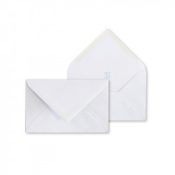 Visitor's Envelopes 500 pieces