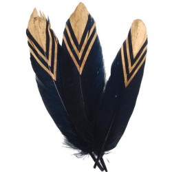 BLACK-GOLD Feathers, set of...