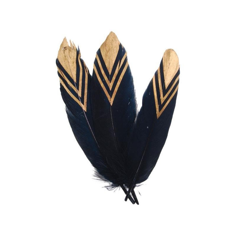 Φτερά BLACK-GOLD, σετ 10 τεμαχίων ύψους 16cm