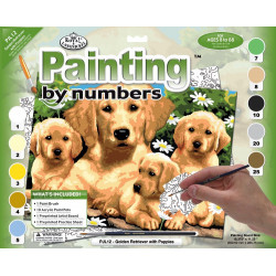 _ PAINTING BY NUMBERS ROYAL...