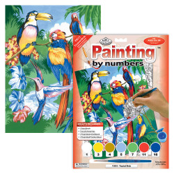 PAINTING BY NUMBERS ROYAL & LANGNICKEL PJS15-3t TROPICAL BIRDS
