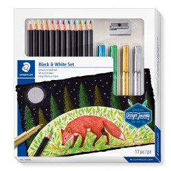 Marker & coloured pencil...