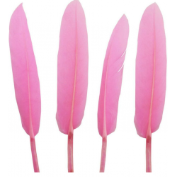 Pink Handicraft Feathers