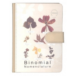 Notebook foryou Binomial B5