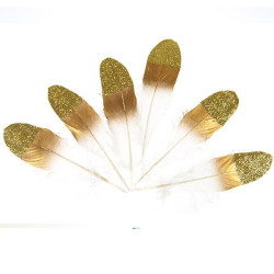 Craft Feathers with gold...