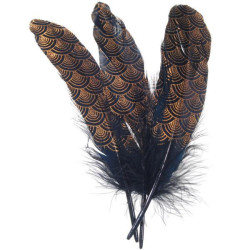 BLACK-GOLD Feathers, set of...