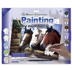 Painting By Numbers ROYAL &...