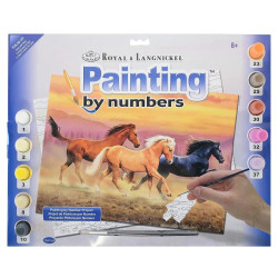 Painting By Numbers ROYAL &...