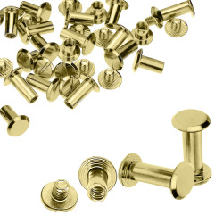 Metal screws gold 15mm for...