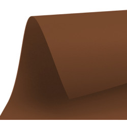 Χαρτόνι 50x70 FABI 220gr, καφέ