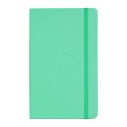 DOTS NOTEBOOK BRUYNZEEL...