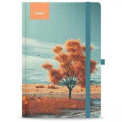 Σημειωματάριο STREET NOTES...